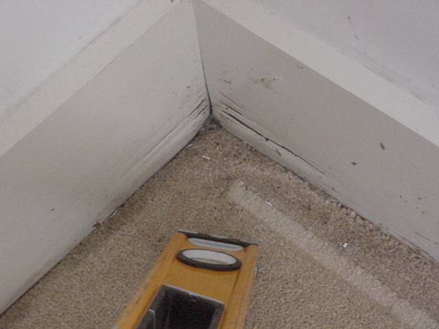 Early stages of dry rot