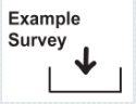 Example Survey